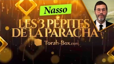Les 3 Pépites de la Paracha Nasso