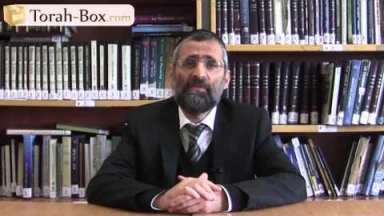 Appel du Rav Chaya : "Aidons un père à marier sa fille Yael"