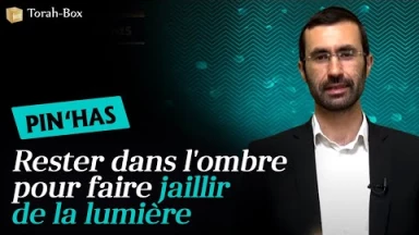 Rav Yohanan Uzan nous parle de la Paracha Pin'has : "Rester dans l'ombre pour faire jaillir de la lumière"