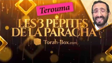 Les 3 Pépites de la Paracha Terouma