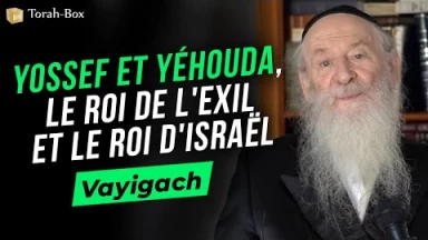 Vayigach : Yossef et Yéhouda, le roi de l'exil et le roi d'Israël