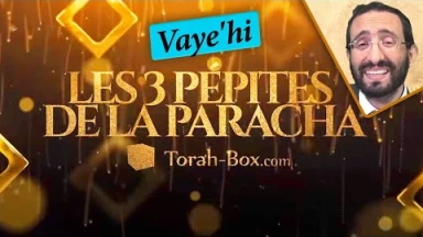 Les 3 Pépites de la Paracha Vaye'hi