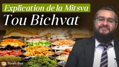 Explication de la Mitsva de Tou Bichvat