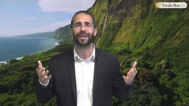 Vision 'Hassidique de la Paracha - Métsora