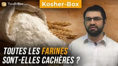Kosher-Box : Toutes les Farines sont-elles Cachères ?