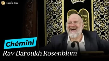 La Paracha Chémini avec Rav Rosenblum