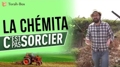 La Torah, c'est pas sorcier : La Chémita