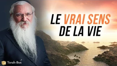 Le vrai sens de la VIE