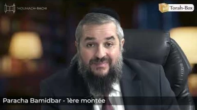 ‘Houmach-Rachi - 1ère montée - Paracha Bamidbar (Rav Ichaï Assayag)