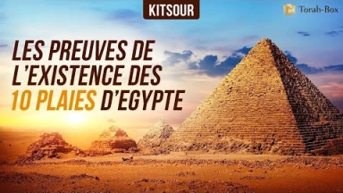 "Les preuves de l’existence des 10 plaies d’Égypte" Kitsour.
