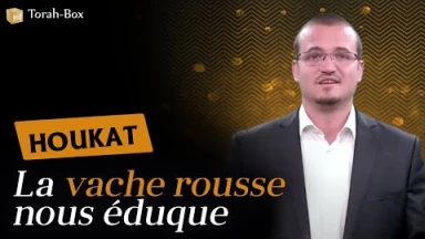 Rav Gabriel Guedj nous parle de la Paracha Houkat : "La vache rousse nous éduque"