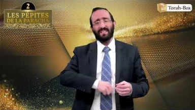 Les 3 Pépites de la Paracha Vayigach #2
