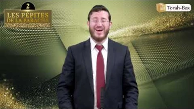 Les 3 Pépites de la Paracha Térouma