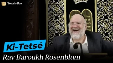 La Paracha Ki-Tetsé avec Rav Rosenblum