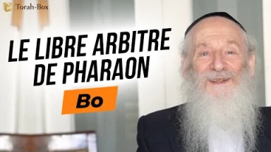 Bo : Le libre arbitre de Pharaon