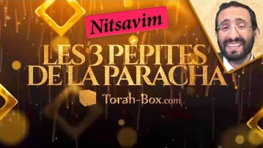 Les 3 Pépites de la Paracha Nitsavim