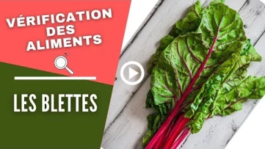 Vérification des aliments : les Blettes