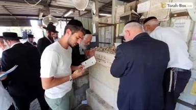 La Ségoula du Admour de Zvil