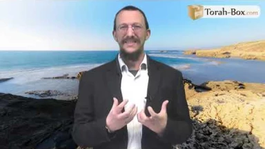 Reb Chmouel Mounkes et le poulet 