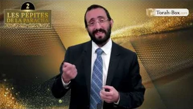 Les 3 Pépites de la Paracha Béhar-Bé'houkotaï