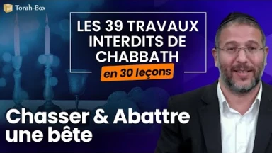 Les 39 travaux interdits le Chabbath en 30 leçons - web-formation facile - N°17 : Chasser & Abattre une bête