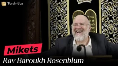 La Paracha Mikets avec Rav Rosenblum