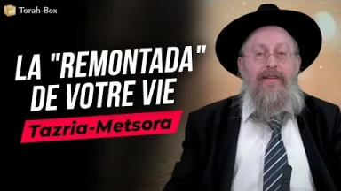 Le Message de la Paracha - Tazria-Métsora : Une belle remontée