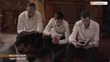 Kinot de Ticha Béav n°25 : Tsion Halo Tichali / צִיּוֹן, הֲלֹא תִשְׁאֲלִי