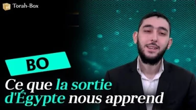 C'est l'un de nos élèves-rabbins ! Rav Binyamin Bokobza nous parle de la Paracha Bo : "Ce que la sortie d'Égypte nous apprend"