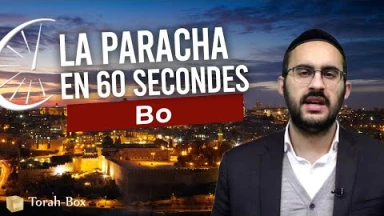 La Paracha en 60 secondes : Bo !