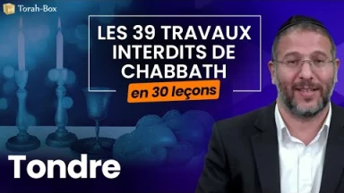Les 39 travaux interdits le Chabbath en 30 leçons - web-formation facile - N°11 : Tondre