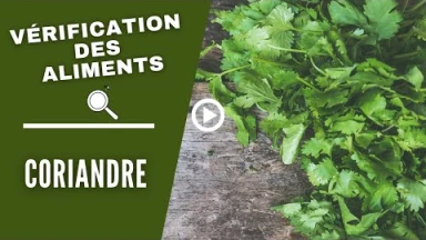 Vérification des aliments : Coriandre 