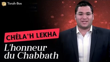 Rav Haviv Belaiche nous parle de la Paracha Chéla'h Lekha : "L'honneur du Chabbath"