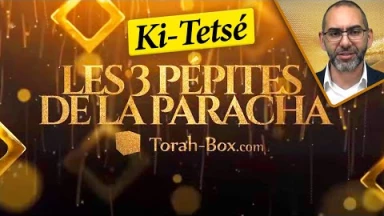 Les 3 Pépites de la Paracha Ki-Tetsé