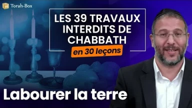 Les 39 travaux interdits le Chabbath en 30 leçons - web-formation facile - N°1 : Labourer la terre