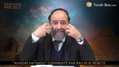 Haggada Project n°3 - "Avadim Hayinou"