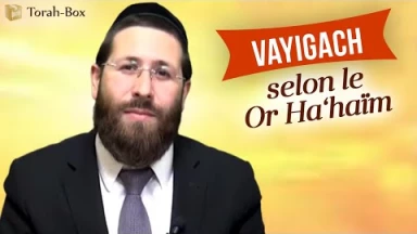Vayigach selon le Or Ha‘haïm
