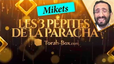 Les 3 Pépites de la Paracha Mikets