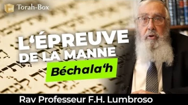 Le Message de la Paracha - Bechala'h : L'épreuve de la Manne