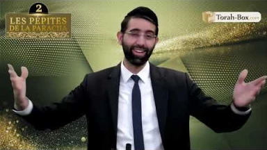 Les 3 Pépites de la Paracha Ki-Tissa