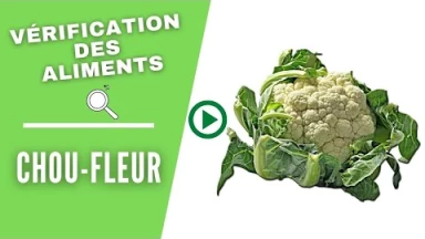 La vérification des aliments : le chou-fleur