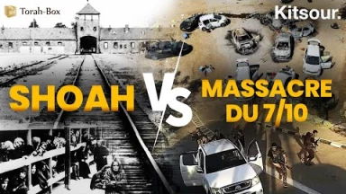 "Shoah VS 7 Octobre : les réactions des nations" Kitsour.