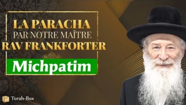 Michpatim : Saintement social