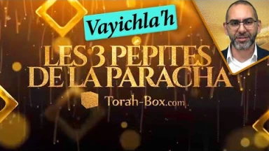 Les 3 Pépites de la Paracha Vayichla'h