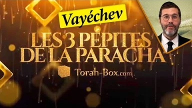 Les 3 Pépites de la Paracha Vayéchev