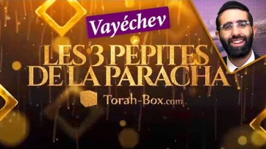 Les 3 Pépites de la Paracha Vayéchev