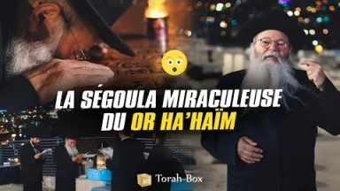 Étude et prière toute la nuit sur le Tombeau du Or Ha'haïm - Ségoula miraculeuse