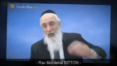 Micro-trottoirs - C'est quoi le bonheur ?