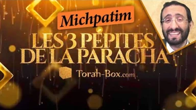 Les 3 Pépites de la Paracha Michpatim