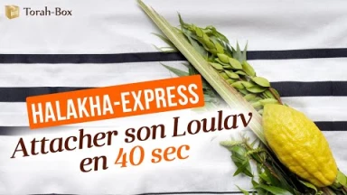 Halakha-Express : Attacher son Loulav en 40 secondes